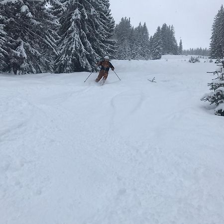 Alpendomizil Pia Lejlighed Mühlbach am Hochkönig Eksteriør billede