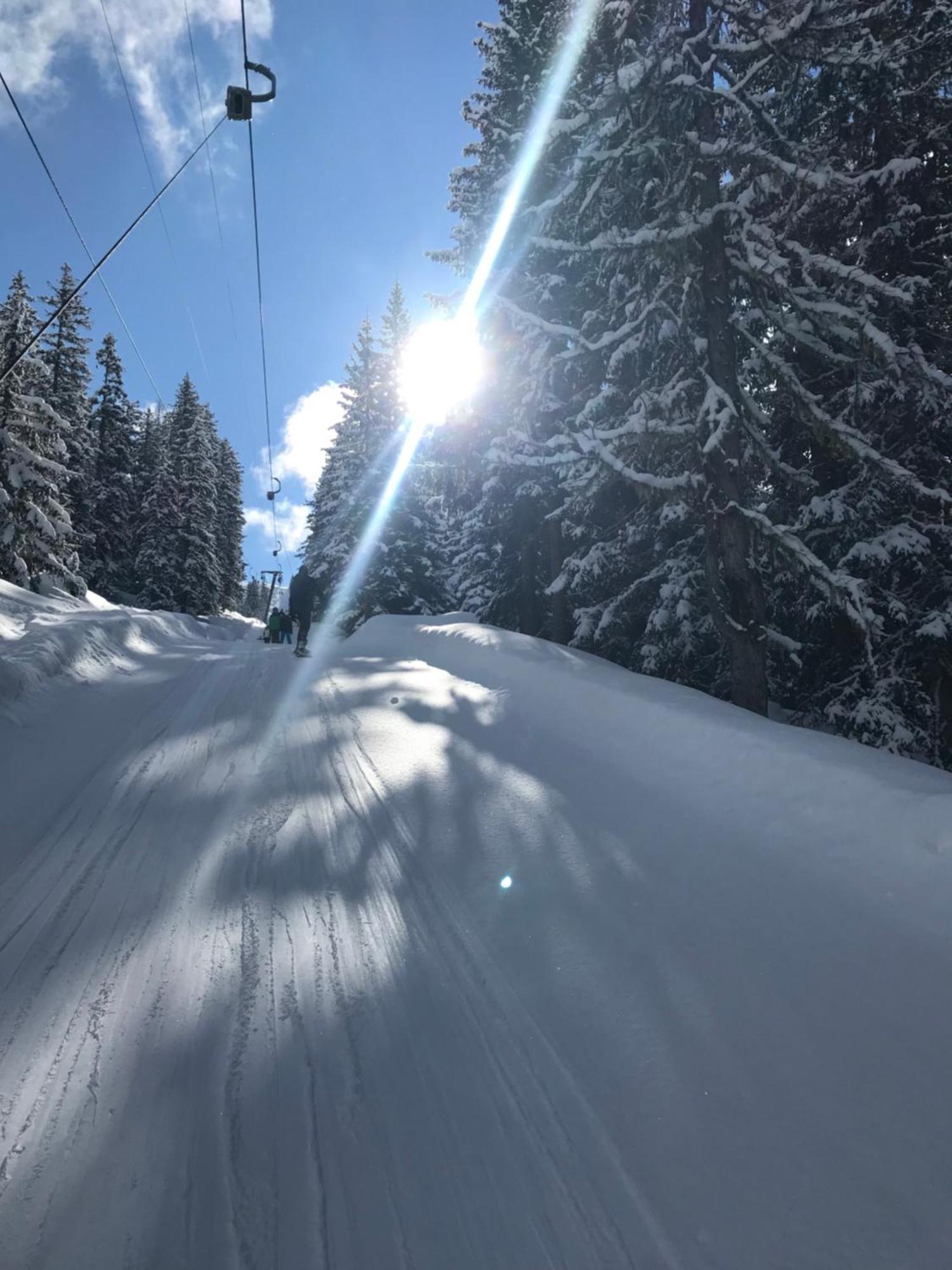 Alpendomizil Pia Lejlighed Mühlbach am Hochkönig Eksteriør billede
